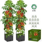 Laodier 2-pack raised bed with trellis supports tomatoes and blooms.