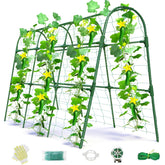 Laodier cucumber trellis arch supports climbing cucumbers in raised beds