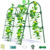 Laodier cucumber trellis with U-shape arch supports climbing vines in raised beds.