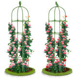 Laodier garden obelisk trellis stands 70in tall, perfect for vertical climbing plants in tight spaces.