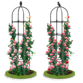 Laodier garden obelisk trellis tall 70-inch silhouette supports climbing roses