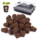 LAPOND grow sponges in tray ready for cuttings, promoting healthy early root growth.