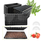 LARNORJE 72-cell seed starter tray with individual cells for organized germination