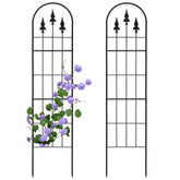 LATIHUUM two-pack garden trellis front view supports climbing plants
