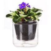 LAZUSAM 4inch self-watering pot with glass reservoir for moisture monitoring.