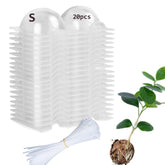 Lazzineer Tree Root Growing Box top view showing clear design for easy root observation.