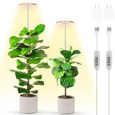LBW bamboo grow light assembly with adjustable pole supports tall indoor plants.