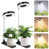 LBW Grow Light base and adjustable pole for compact indoor plant setups.