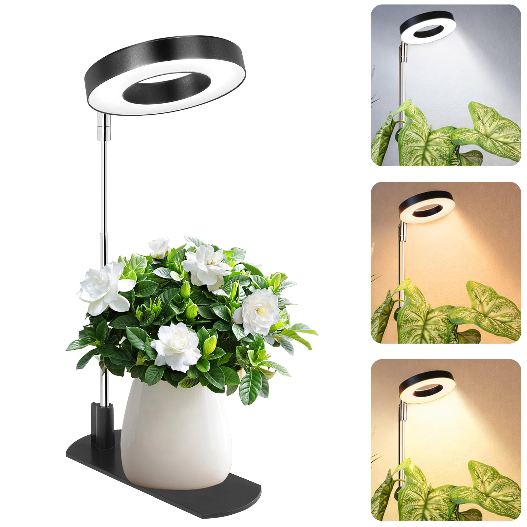 LBW Grow Light base provides stable support for compact indoor plants.