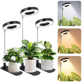 LBW grow light base provides stable support for indoor plants.