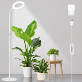 LBW Grow Light with Stand base provides stable support for large indoor plants.