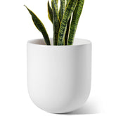 LE TAUCI 10-inch pot with drainage hole, promoting proper moisture management