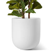 LE TAUCI 12-inch pot with drainage hole ideal for healthy indoor plant roots