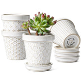 LE TAUCI 3-inch mini succulent pot with Arctic White glaze and embossed detail.