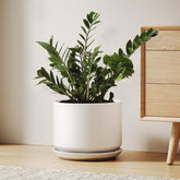 LE TAUCI 10-inch ceramic pot with drainage hole and saucer for healthy indoor plant growth