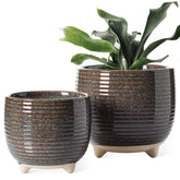 LE TAUCI ceramic pot 6.4-inch in black glaze for stylish indoor greenery.