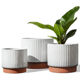 LE TAUCI 8 inch ceramic pot with ribbed glaze for elegant indoor display