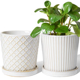 LE TAUCI ceramic pot front view with white glaze for elegant plant display.