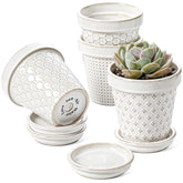 LE TAUCI embossed ceramic succulent pots with floral embossing for indoor display