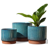 LE TAUCI stripe ceramic pot 8-inch for bold indoor plants