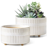 LE TAUCI 8-inch succulent planters with wide mouth, ideal for compact arrangements.