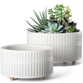 LE TAUCI succulent pot pair front view for versatile shelves and desks.