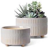 LE TAUCI 8-inch succulent pot with reactive glaze adds modern style to shelves.