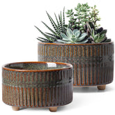 LE TAUCI succulent pots pair in black reactive glaze for stylish shelves