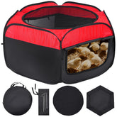 Leadinor Brooder Box Starter Kit ready for newborn chicks in a safe space.