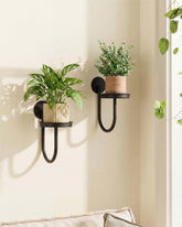 Leaf&lull wall plant holder two-pack in black, space-saving wall display.