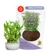 Leaves and Soul lucky bamboo soil 2.2 qt bag promotes healthy root aeration for Lucky Bamboo
