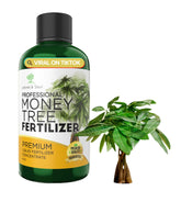 Leaves and Soul money tree fertilizer bottle boosts nutrient delivery for healthy growth.