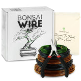 Leaves and Soul bonsai wire kit 160ft rolls for versatile tree shaping and training.
