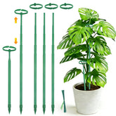 lecamebor telescoping monstera stake 12.5in supports young plants with gentle guidance