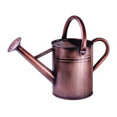 Lechloris metal watering can top view for precise indoor and outdoor watering