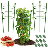 Legigo 3-pack plant support cages for pots provide sturdy tomato cage support for small gardens.