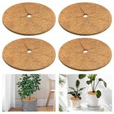 Legigo coconut fiber mulch ring around a potted plant for moisture retention