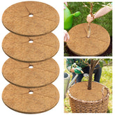 Legigo coconut fiber mulch ring installation around a 30-inch tree improves soil moisture.