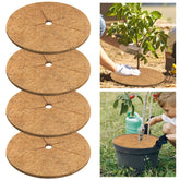 Legigo coconut fiber mulch ring surrounds a plant, boosting moisture retention and soil protection.