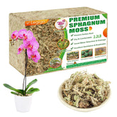 Legigo premium sphagnum moss packaging close-up highlighting easy storage.