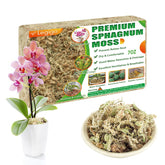 Legigo premium sphagnum moss 8qt bag – dry moss ready to hydrate for potting moisture retention.
