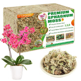 Legigo 60qt sphagnum moss pack showing natural, fluffy texture for moisture retention