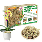 Legigo sphagnum moss in packaging showing natural long-fiber texture for moisture retention.