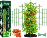 Legigo tomato cage 6-pack provides sturdy support for sprawling garden tomatoes.
