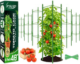 Legigo tomato cage assembly setup demonstrates modular, sturdy support for climbing vegetables.