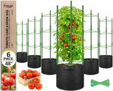 Legigo tomato cages 6-pack provide stable vertical support for climbing plants.