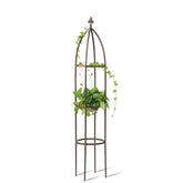 LeJoy Garden obelisk trellis supports heavy climbing plants like roses and tomatoes.