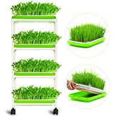 LeJoy Garden 4-layer sprout trays assembled for compact kitchen sprouting in small spaces.