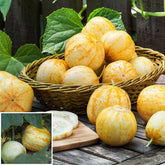 Lemon cucumber seeds packaging, ideal starter kit for home gardens.