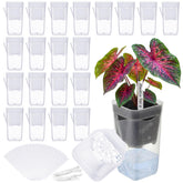 LemonRoad 20-pack self-watering pots with outer and inner view for root observation